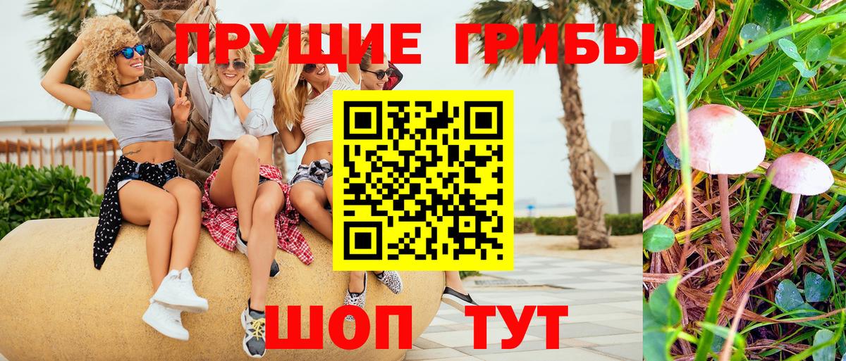 Псилоцибиновые грибы MAGIC MUSHROOMS  где купить наркоту  Вход с VPN  Лесосибирск  Псилоцибиновые грибы MAGIC MUSHROOMS 